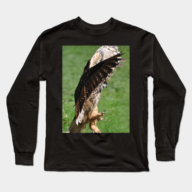 European eagle owl Long Sleeve T-Shirt by declancarr